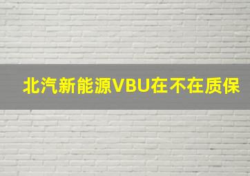 北汽新能源VBU在不在质保