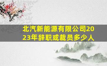 北汽新能源有限公司2023年辞职或裁员多少人