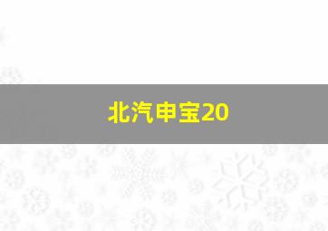 北汽申宝20