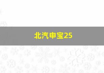 北汽申宝25