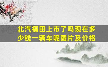 北汽福田上市了吗现在多少钱一辆车呢图片及价格