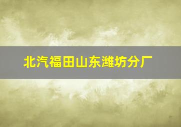 北汽福田山东潍坊分厂