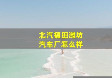 北汽福田潍坊汽车厂怎么样