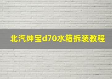 北汽绅宝d70水箱拆装教程