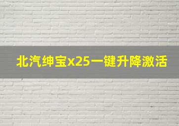 北汽绅宝x25一键升降激活