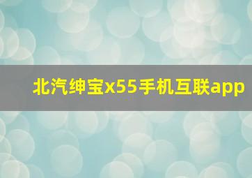 北汽绅宝x55手机互联app