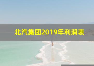 北汽集团2019年利润表