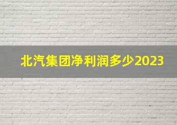 北汽集团净利润多少2023