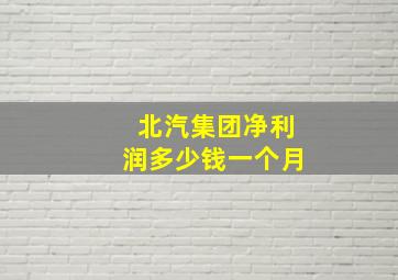 北汽集团净利润多少钱一个月