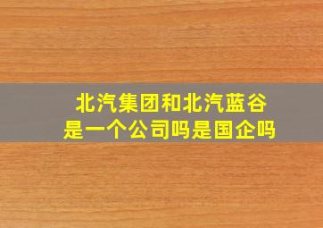 北汽集团和北汽蓝谷是一个公司吗是国企吗