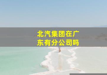 北汽集团在广东有分公司吗