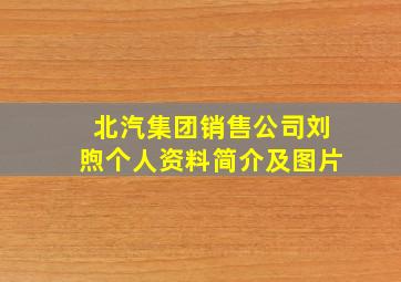 北汽集团销售公司刘煦个人资料简介及图片