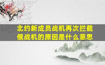 北约新成员战机再次拦截俄战机的原因是什么意思