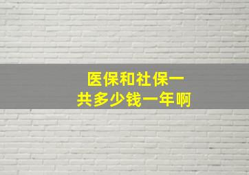 医保和社保一共多少钱一年啊