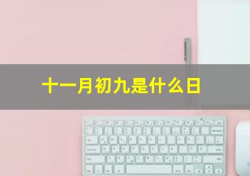 十一月初九是什么日