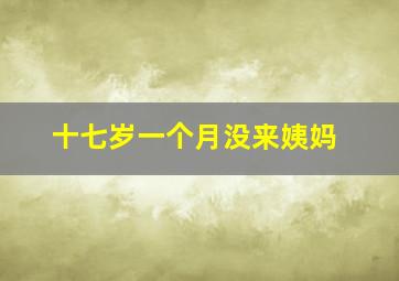 十七岁一个月没来姨妈