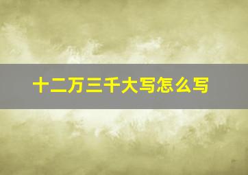 十二万三千大写怎么写