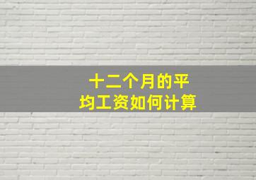 十二个月的平均工资如何计算