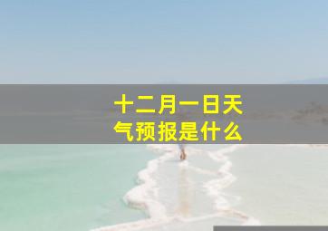 十二月一日天气预报是什么