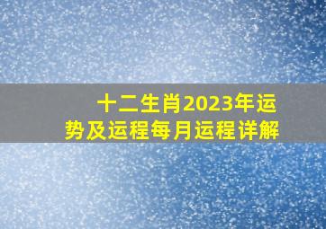 十二生肖2023年运势及运程每月运程详解