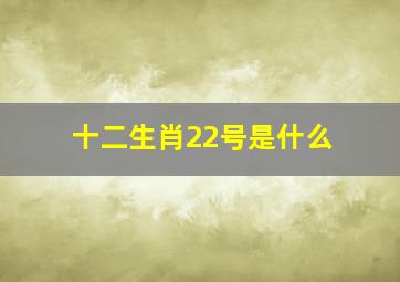 十二生肖22号是什么