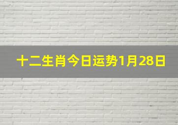 十二生肖今日运势1月28日