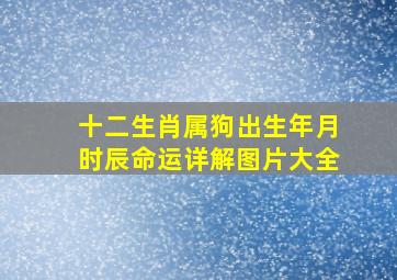 十二生肖属狗出生年月时辰命运详解图片大全