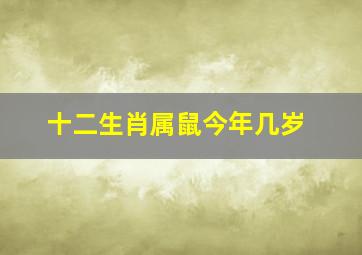 十二生肖属鼠今年几岁