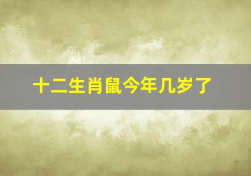 十二生肖鼠今年几岁了