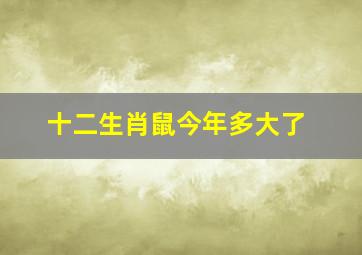 十二生肖鼠今年多大了