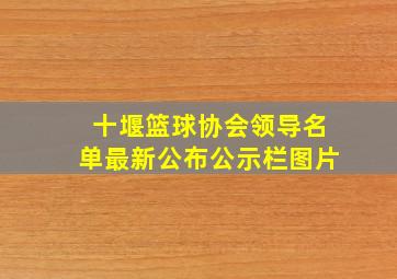 十堰篮球协会领导名单最新公布公示栏图片