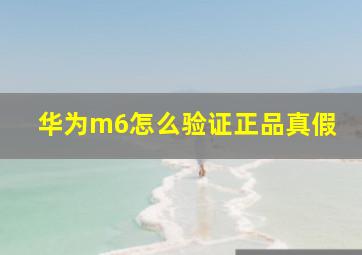 华为m6怎么验证正品真假