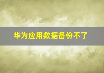 华为应用数据备份不了