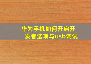 华为手机如何开启开发者选项与usb调试