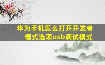 华为手机怎么打开开发者模式选项usb调试模式