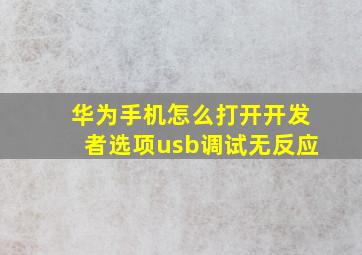 华为手机怎么打开开发者选项usb调试无反应