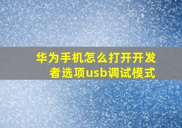 华为手机怎么打开开发者选项usb调试模式