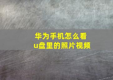 华为手机怎么看u盘里的照片视频