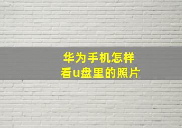 华为手机怎样看u盘里的照片