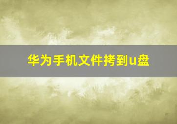 华为手机文件拷到u盘