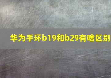 华为手环b19和b29有啥区别