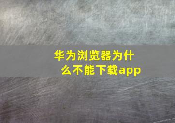 华为浏览器为什么不能下载app