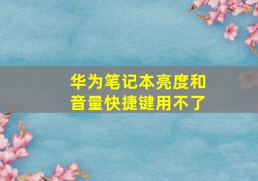 华为笔记本亮度和音量快捷键用不了