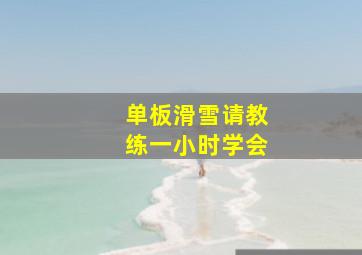 单板滑雪请教练一小时学会