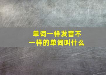 单词一样发音不一样的单词叫什么