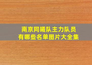 南京同曦队主力队员有哪些名单图片大全集