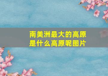 南美洲最大的高原是什么高原呢图片