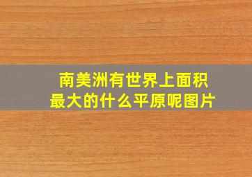 南美洲有世界上面积最大的什么平原呢图片