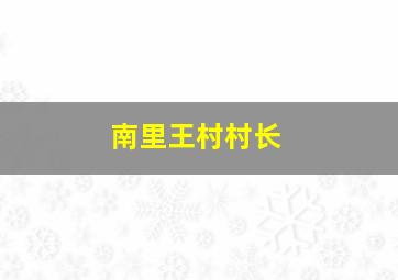 南里王村村长