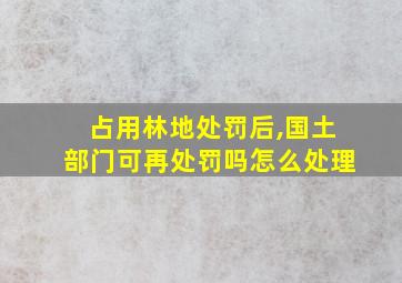 占用林地处罚后,国土部门可再处罚吗怎么处理